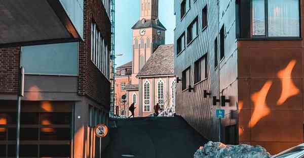 外国语单招大数据的行业文章