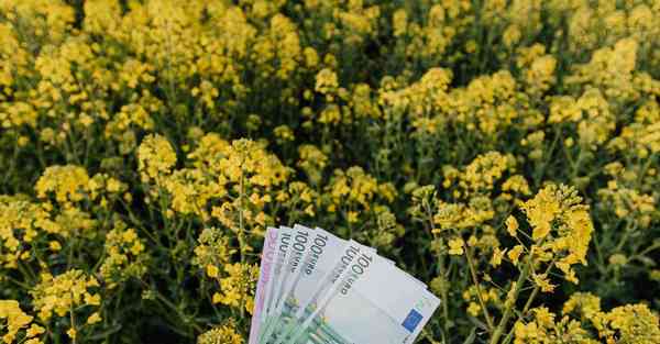 大数据包含设备数据的行业文章