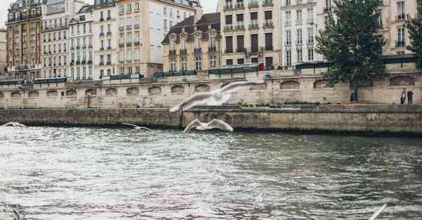 消防大数据分析
