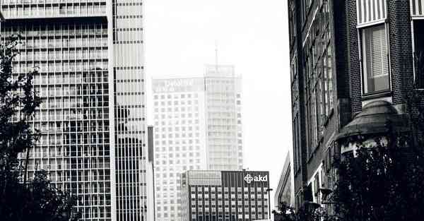 大数据监管的作用（监管大数据应用）