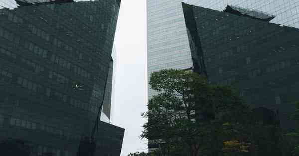 大数据养老趋势