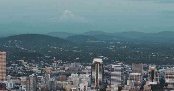 外国语单招大数据的行业文章