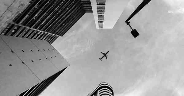 网络科学大数据：探索数字化世界的奥秘