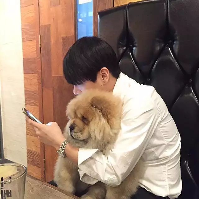 管莉思固