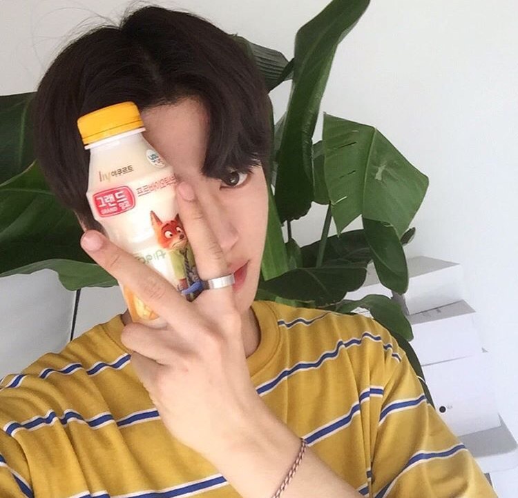 尤敬树梦
