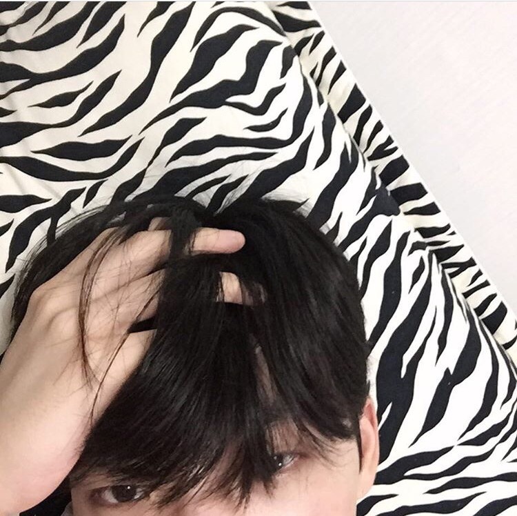 晏坚诚冰