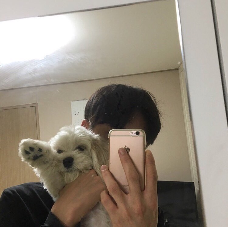 弘韦媚睿