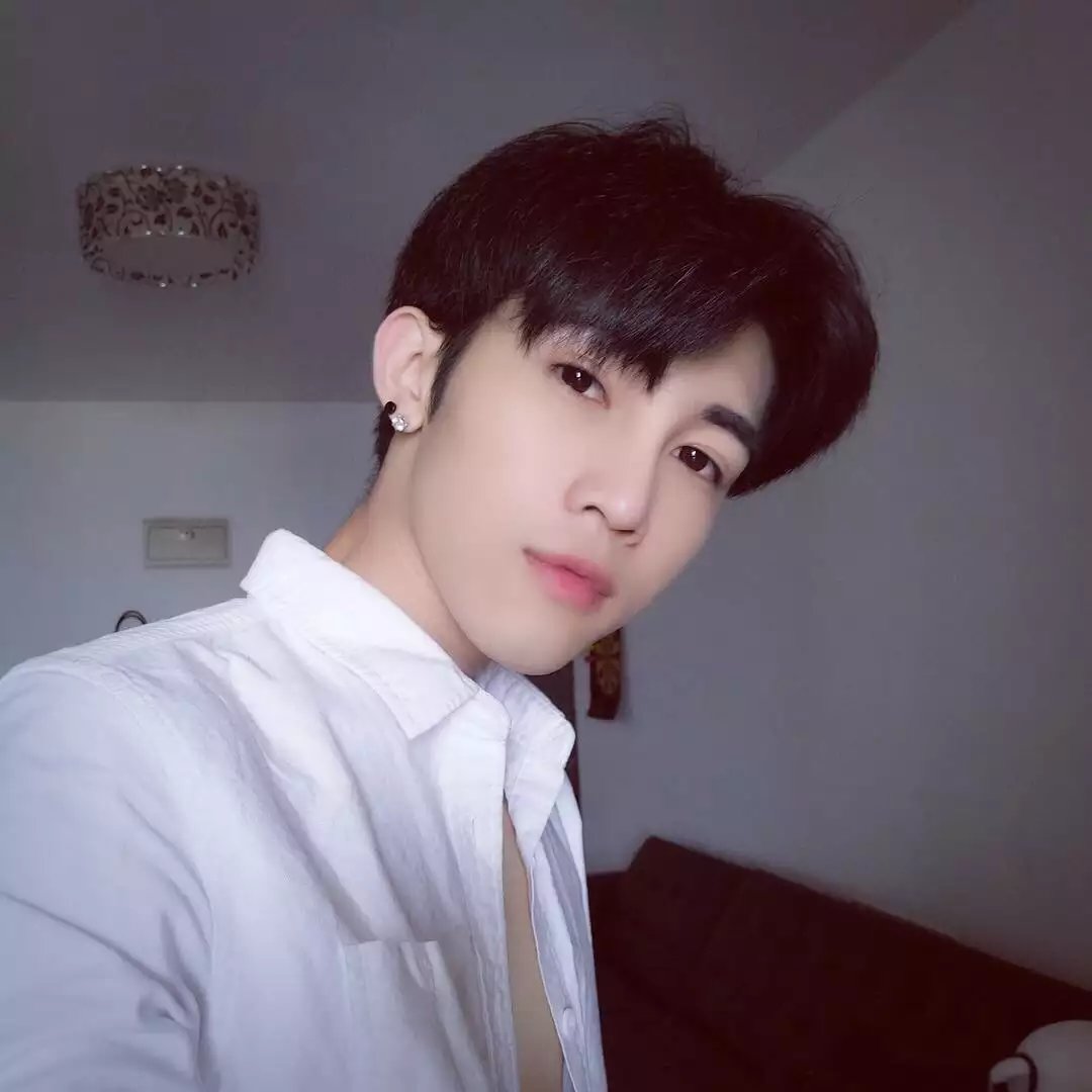 曲菊栋松