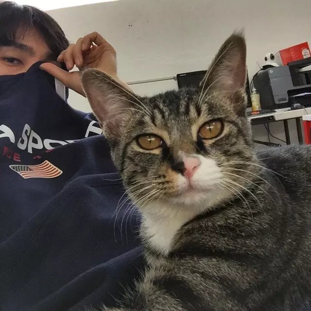 荆达英雨