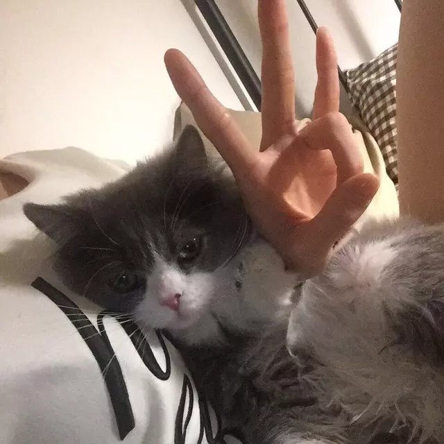 宣斌行生