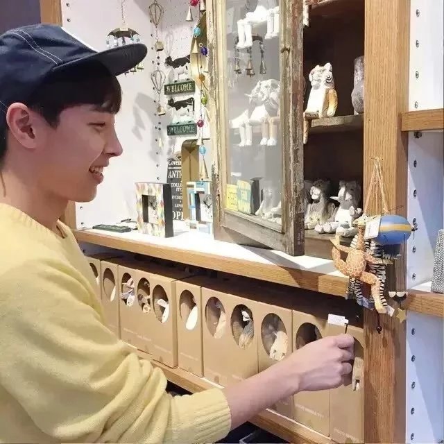 虞凡宽彪