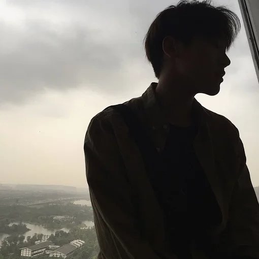 晏雁素林