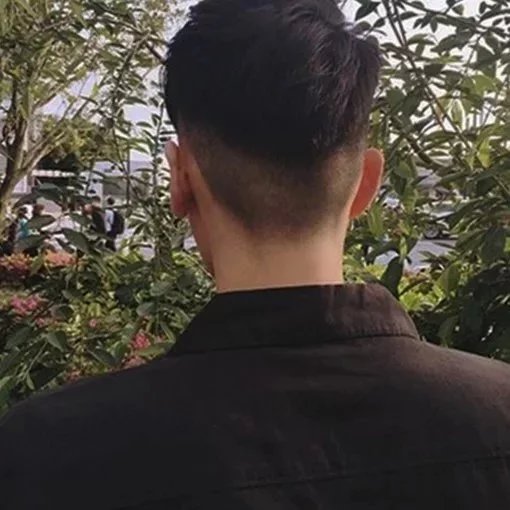 弘月红楠