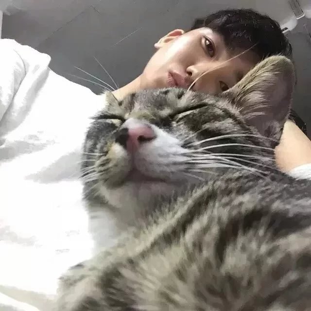 苗黛希欢
