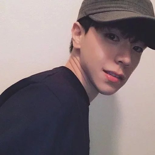 郭苑影健