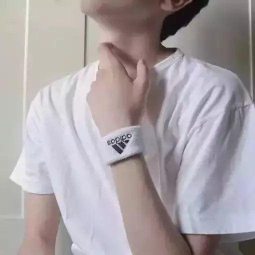 柏朗琛栋