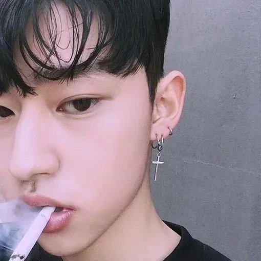 濮阳素婵树