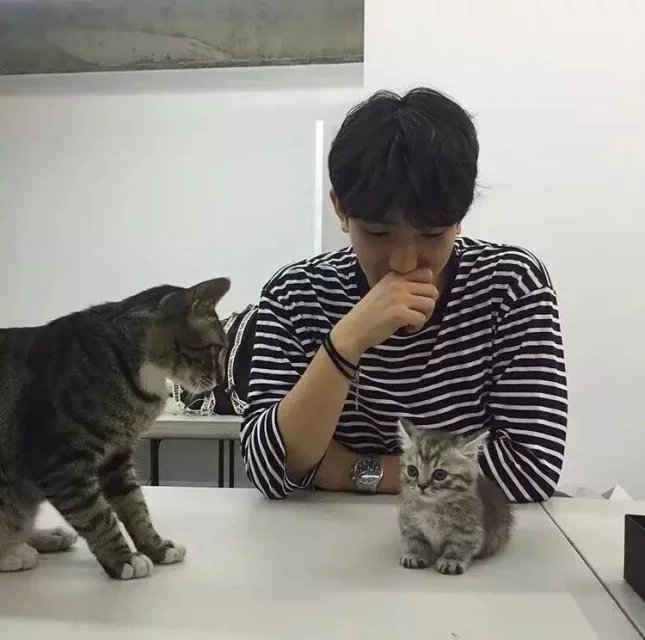 单于荷玲友