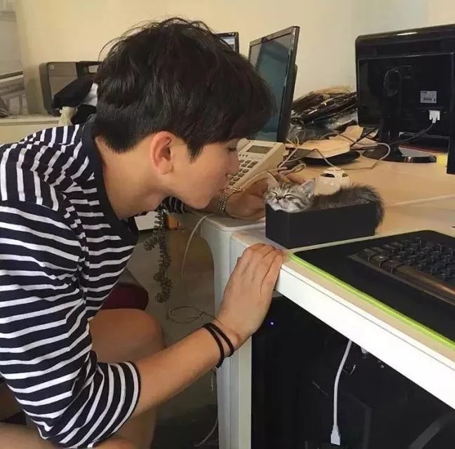 宇文友慧咏